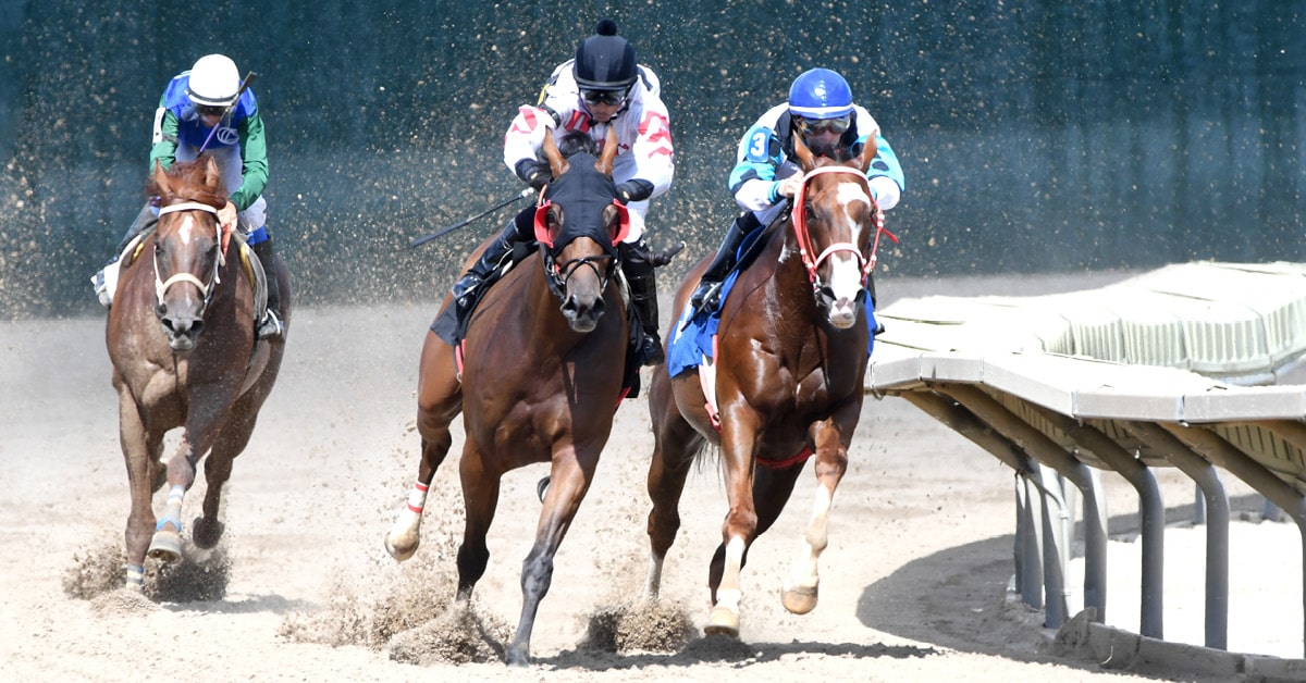 Horseman s information